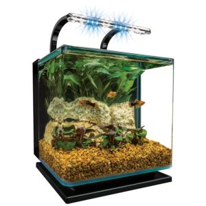 Marineland Contour Glass Aquarium Kit with Rail Light