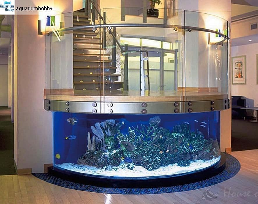 aquarium staircase